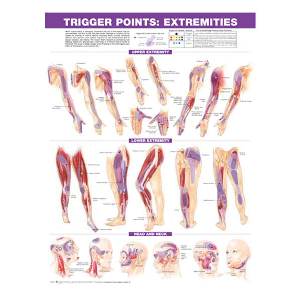 Trigger Point Chart Set "Torso & Extremities"