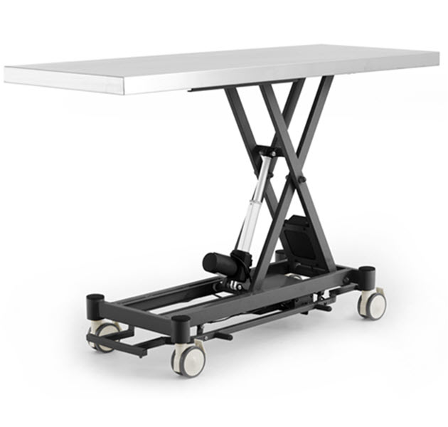 Coinfycare electric table for veterinarian