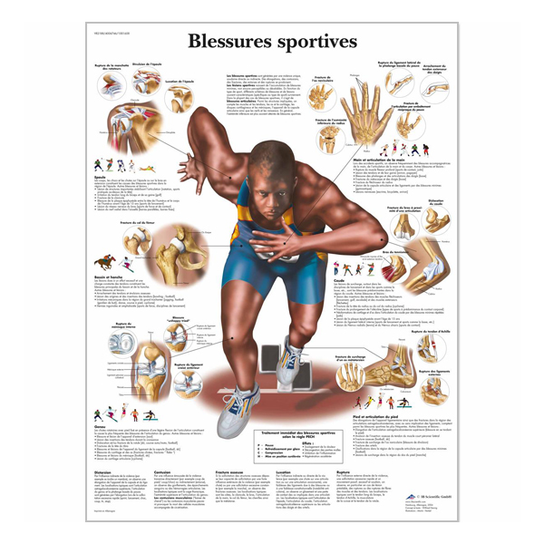 Chart "Blessures sportives"