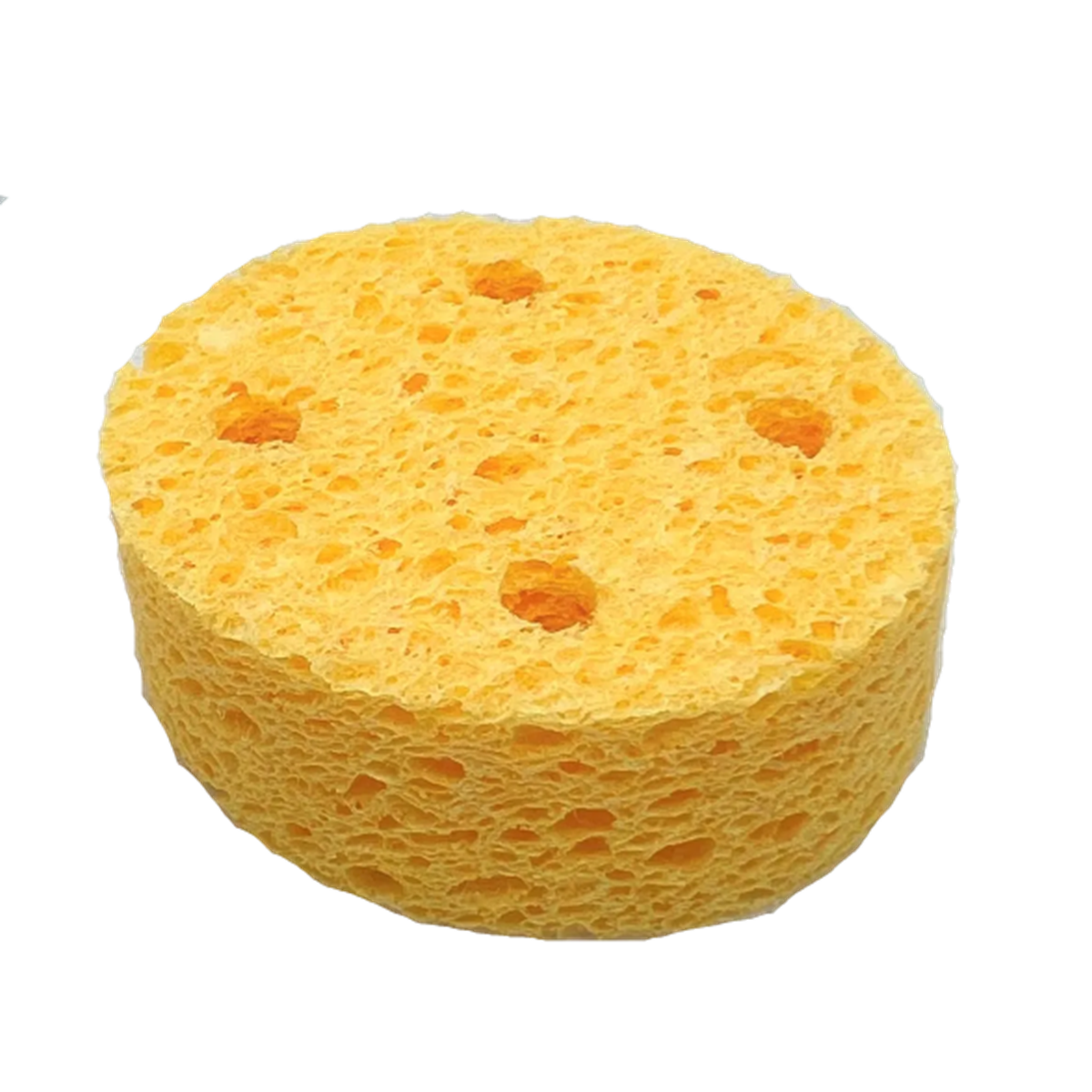 Sponges