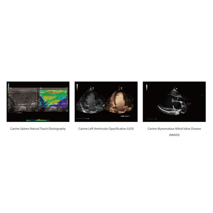 Mindray Vetus 9, Premium Veterinary Ultrasound System