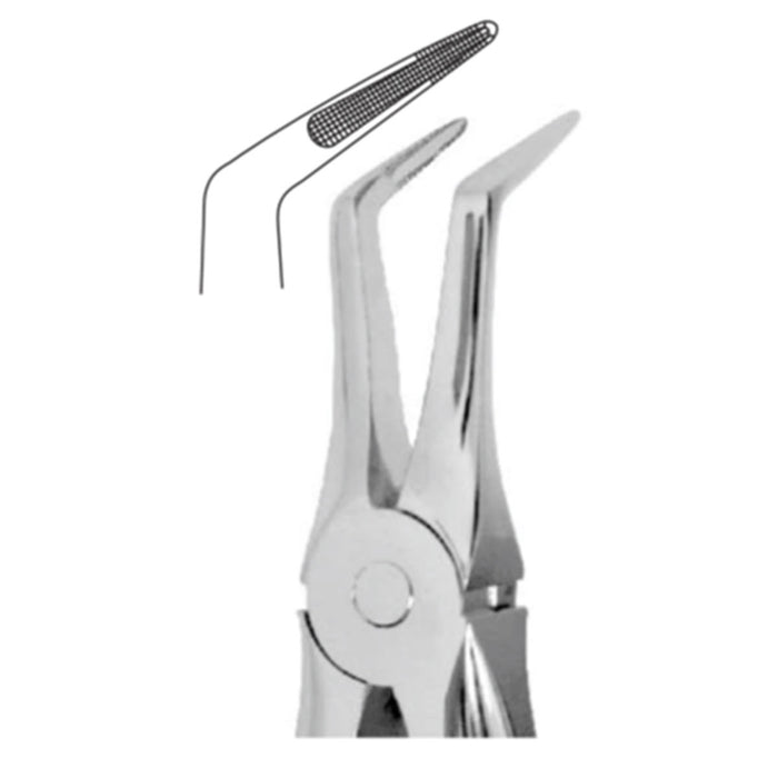 Davier, forme anglaise, racines inférieures