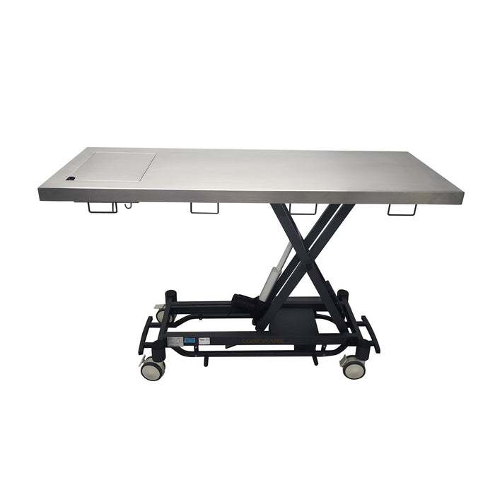 Coinfycare electric dental table for veterinarian, 22" x 60", Graphite frame