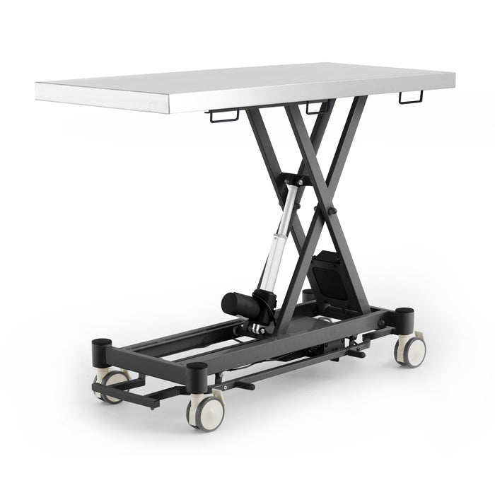 Coinfycare electric table for veterinarian