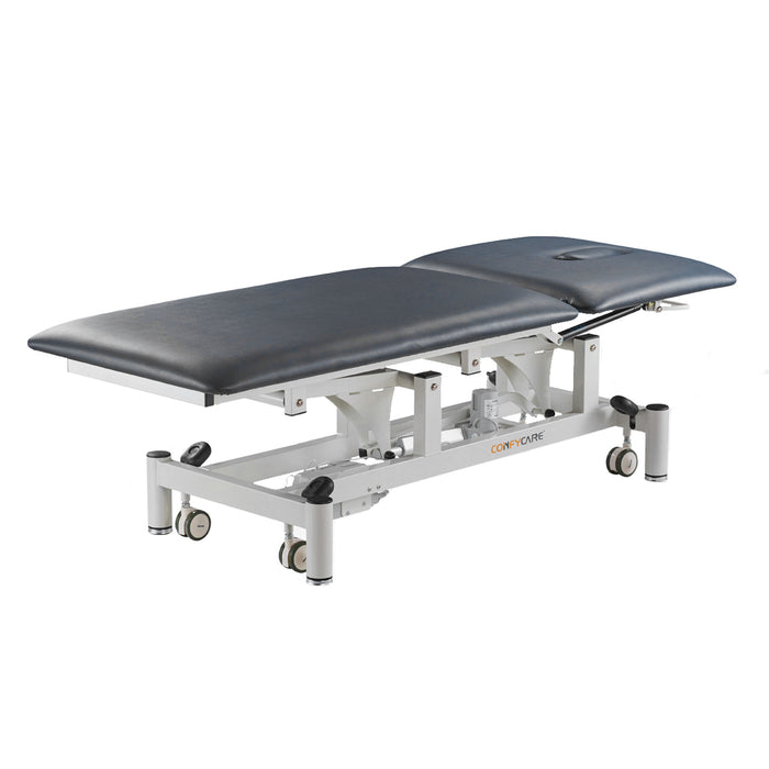 Coinfycare 2 sections table