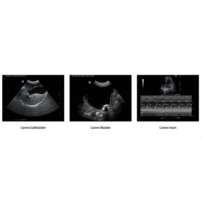 Mindray DP-50, Veterinary Ultrasound System