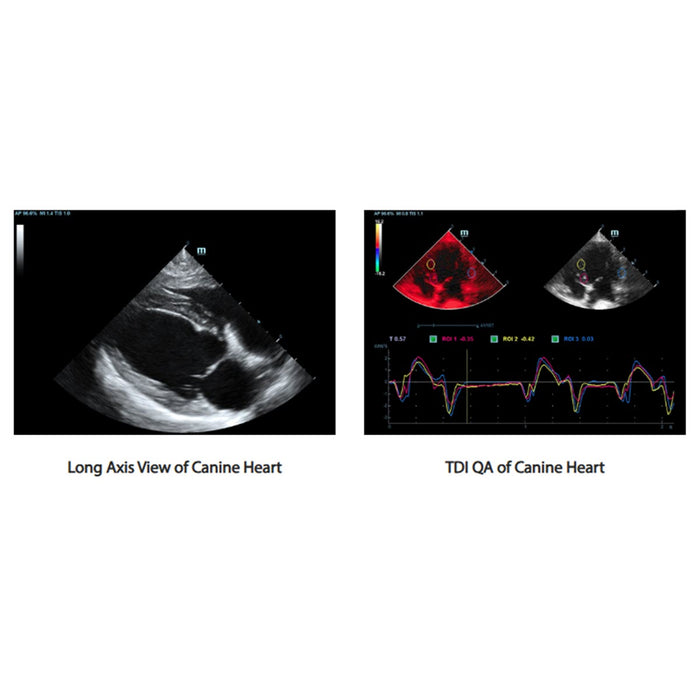 Mindray Vetus 7, Veterinary Ultrasound System