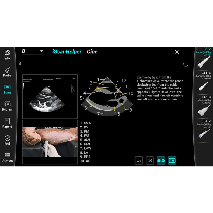 Vetus 50 de Mindray, système d’échographie diagnostique vétérinaire avec module de batterie intégré