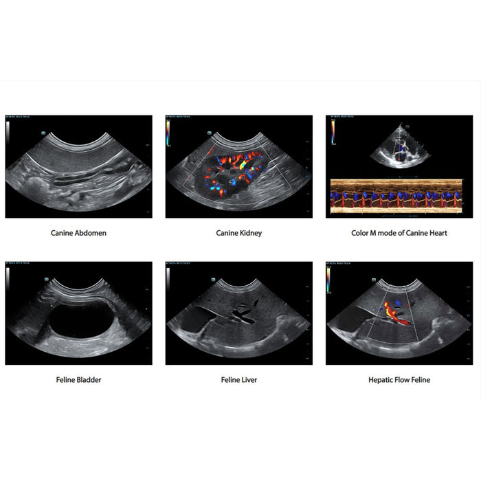 Mindray Vetus 7, Veterinary Ultrasound System