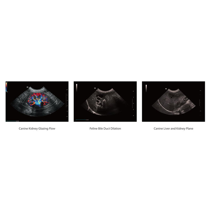 Mindray Vetus 9, Premium Veterinary Ultrasound System