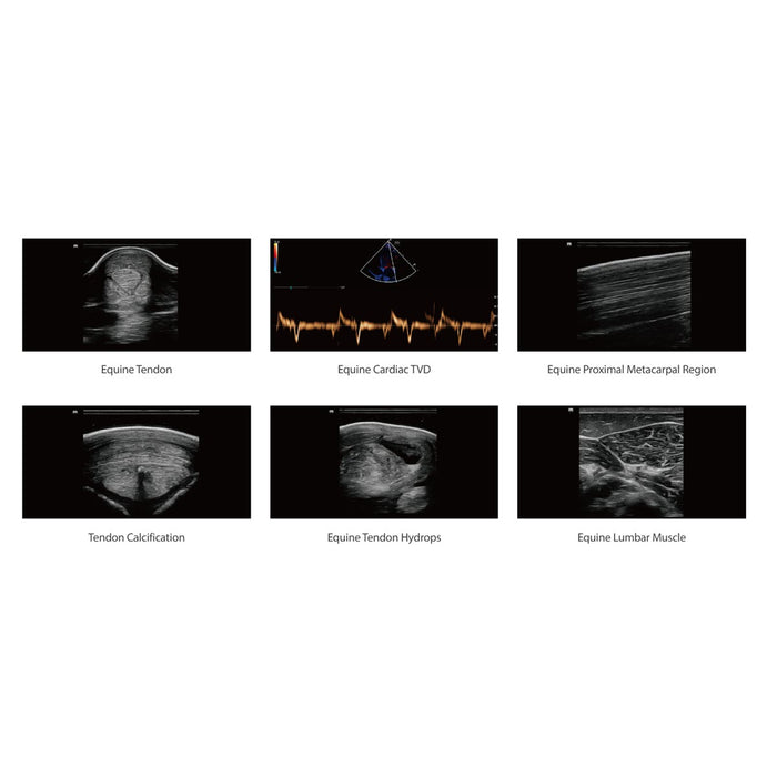 Mindray Vetus EQ, Hand-Carried Equine Ultrasound System