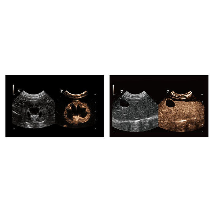 Mindray Vetus 9, Premium Veterinary Ultrasound System