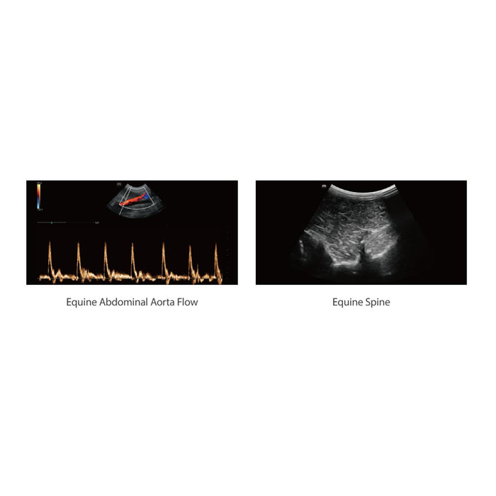 Mindray Vetus EQ, Hand-Carried Equine Ultrasound System