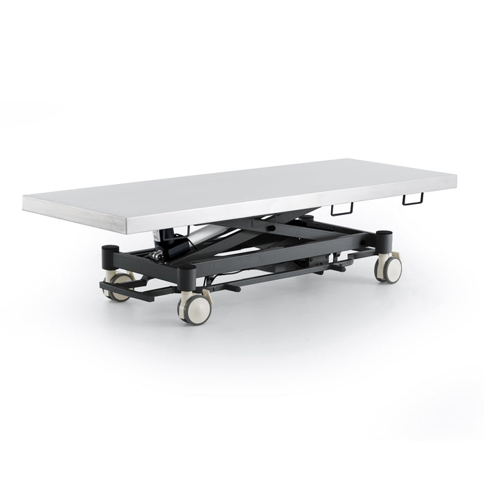 Coinfycare electric table for veterinarian