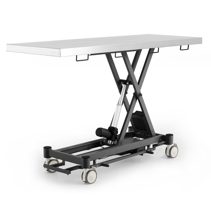 Coinfycare electric table for veterinarian