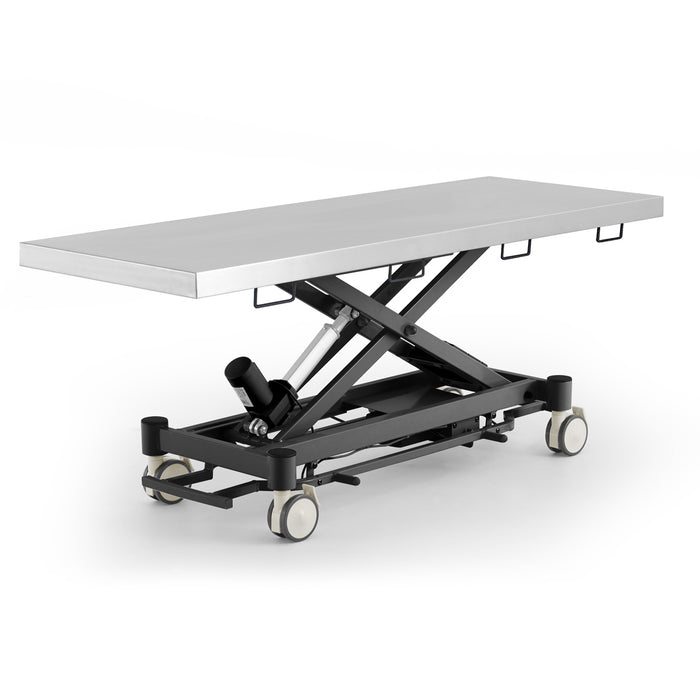 Coinfycare electric table for veterinarian