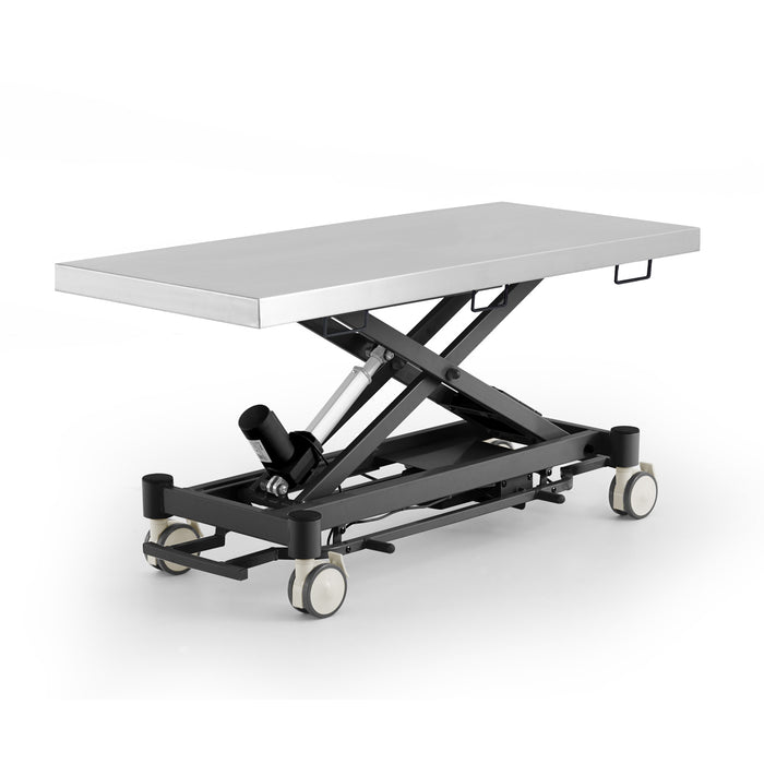 Coinfycare electric table for veterinarian