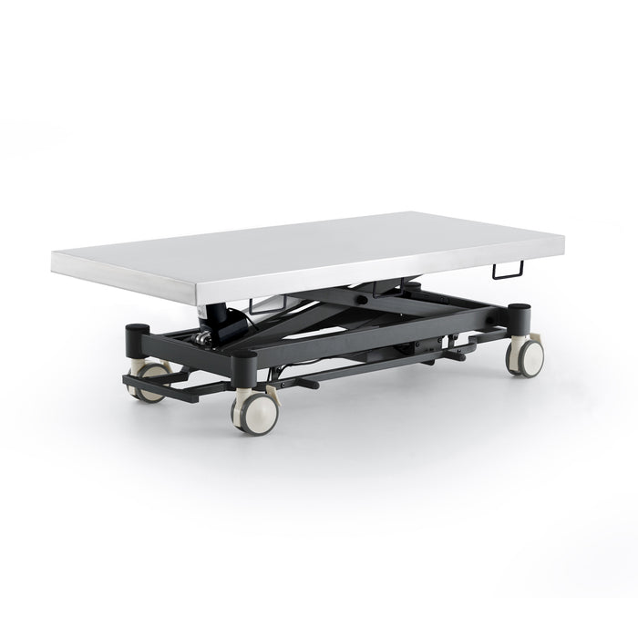 Coinfycare electric table for veterinarian
