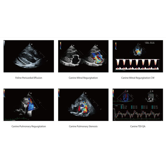 Mindray Vetus 9, Premium Veterinary Ultrasound System