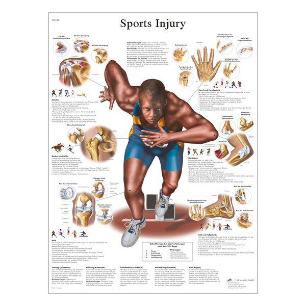 Charte "Sport Injury"