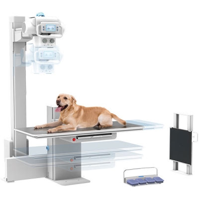 Système de radiologie vétérinaire MyVet i72W