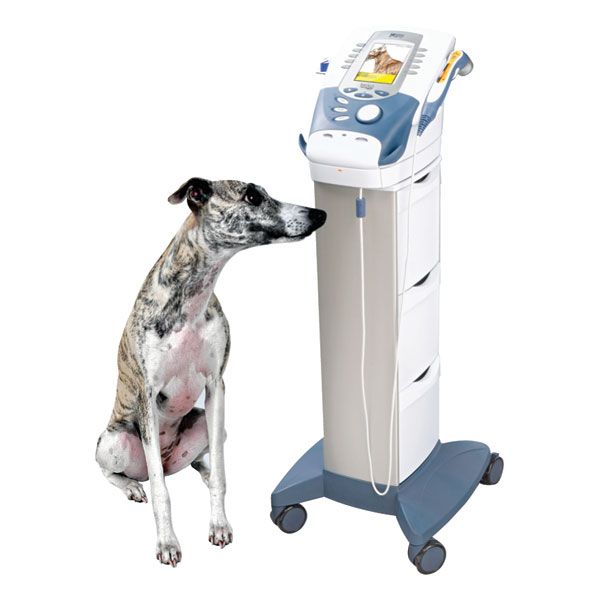 Intelect Vet Electrotherapy system for Veterinarian